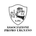 Logo Apu